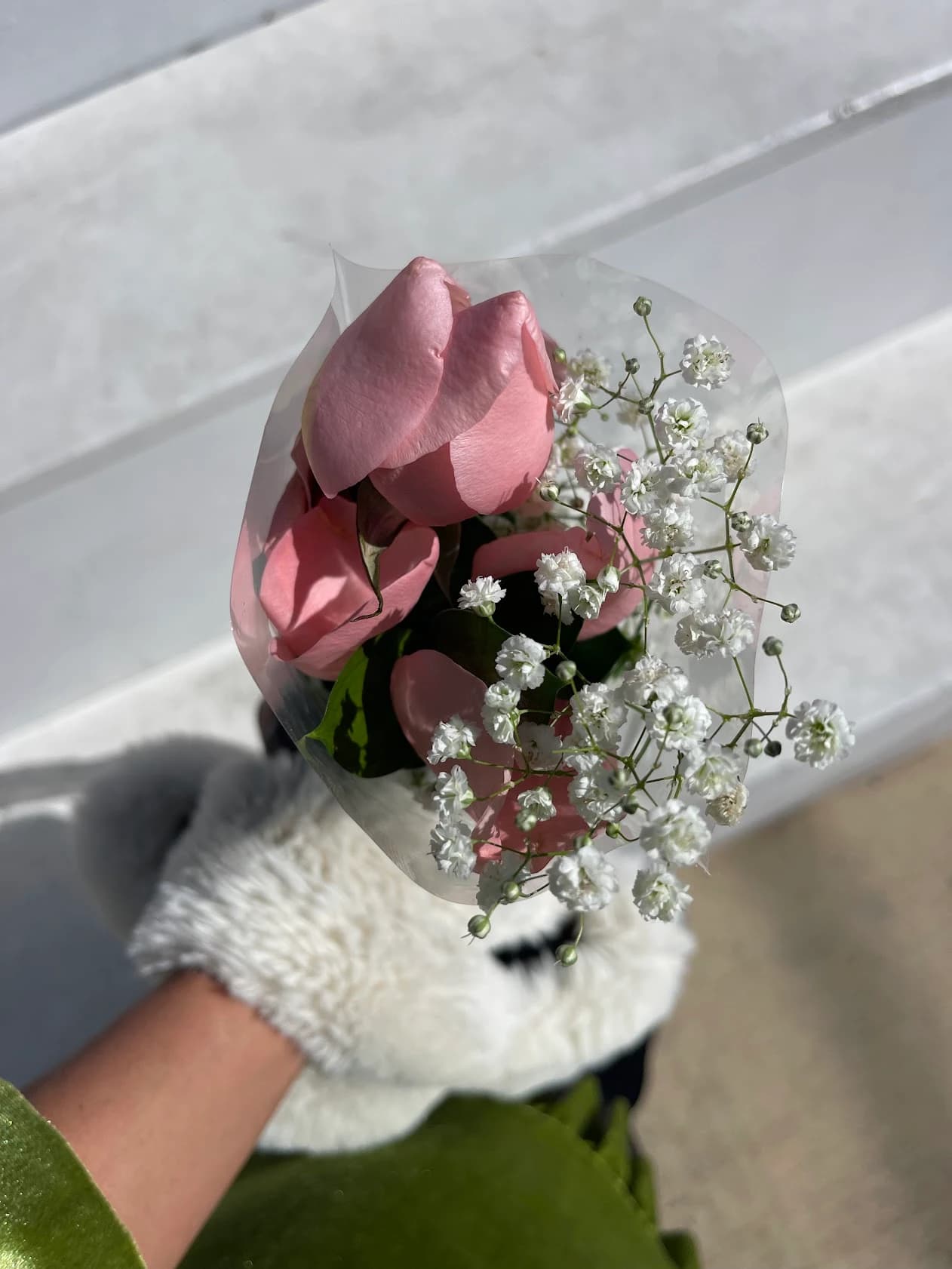 Valentines flower that is slightly wilted